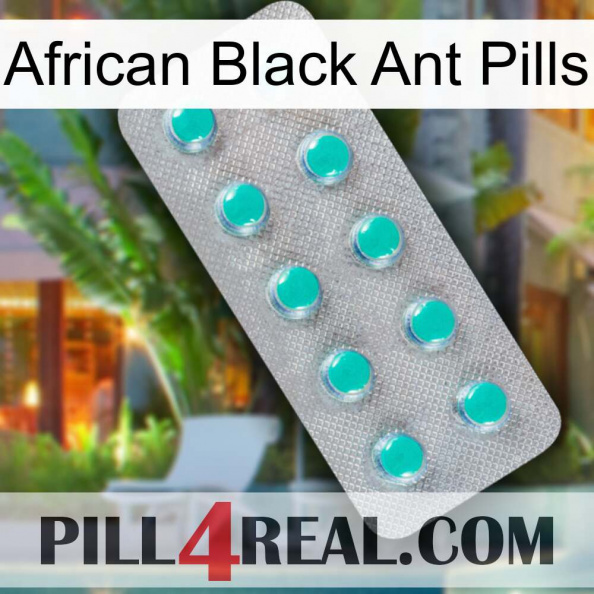 African Black Ant Pills 28.jpg